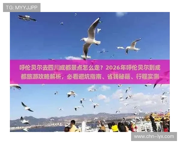 国际德州扑克锦标赛规则最新版本2026年详细介绍及实用技巧分享
