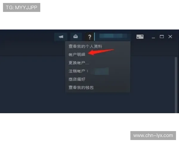 如何通过爱游戏备用网址快速进入心仪的游戏世界，提供详细操作指南和安全保障措施